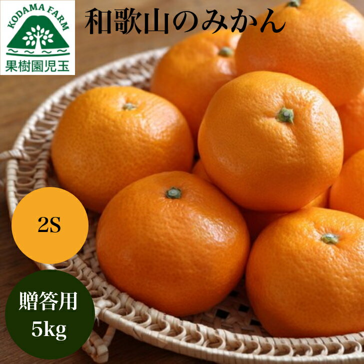 みかん 小玉 お歳暮 ギフト 5kg 贈答用 小玉みかん 和歌山 2Sサイズ 送料無料 御歳暮 御歳暮ギフト 御歳暮みかん 歳暮 ミカン 甘い 秀 冬ギフト フルーツ 果物 蜜柑 小粒みかん 小粒 贈答品 贈答 産地直送 取り寄せ 和歌山産 39ショップ 温州みかん 大感謝祭