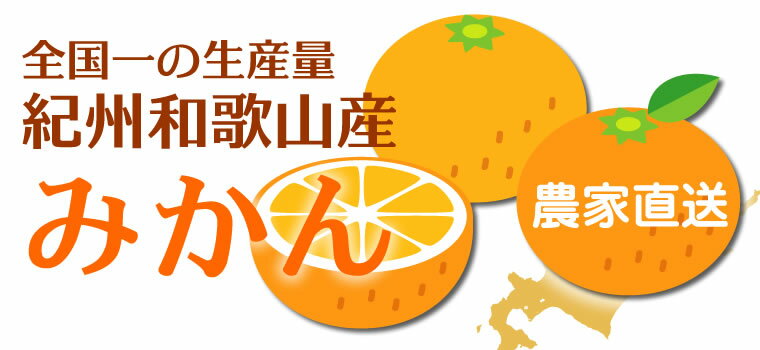 みかん 小玉 お歳暮 ギフト 10kg 贈答用 小玉みかん 秀 和歌山 2Sサイズ 送料無料 御歳暮 御歳暮ギフト 御歳暮みかん 歳暮 冬ギフト ミカン 甘い フルーツ 果物 小粒みかん 小粒 蜜柑 贈答品 贈答 産地直送 取り寄せ 和歌山産 39ショップ 温州みかん 大感謝祭