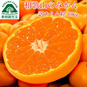 みかん 訳あり 小玉 小玉みかん 10kg 和歌山 送料無料 2S〜3S混合 小粒 訳ありみかん 甘い わけありみかん 訳ありミカン ミカン 蜜柑 箱 入り 買い 箱買い 箱入り 訳アリ 10k 10キロ ノーワックス わけあり ワケあり 和歌山産 和歌山県産 和歌山のみかん 39ショップ 産地直送