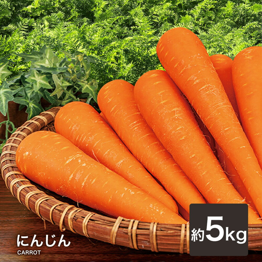 【あす楽対応】 にんじん 5kg ジュース用 人参 国産 送料無料 ニンジン 人参ジュース にんじんジュース人参