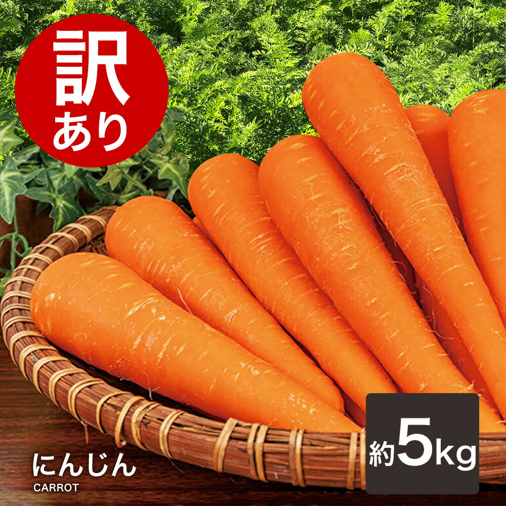 【あす楽対応】訳ありにんじん 5kg 人参 国産 送料無料 ニンジン 人参ジュース にんじんジュース人参 野菜 わけあり おトク