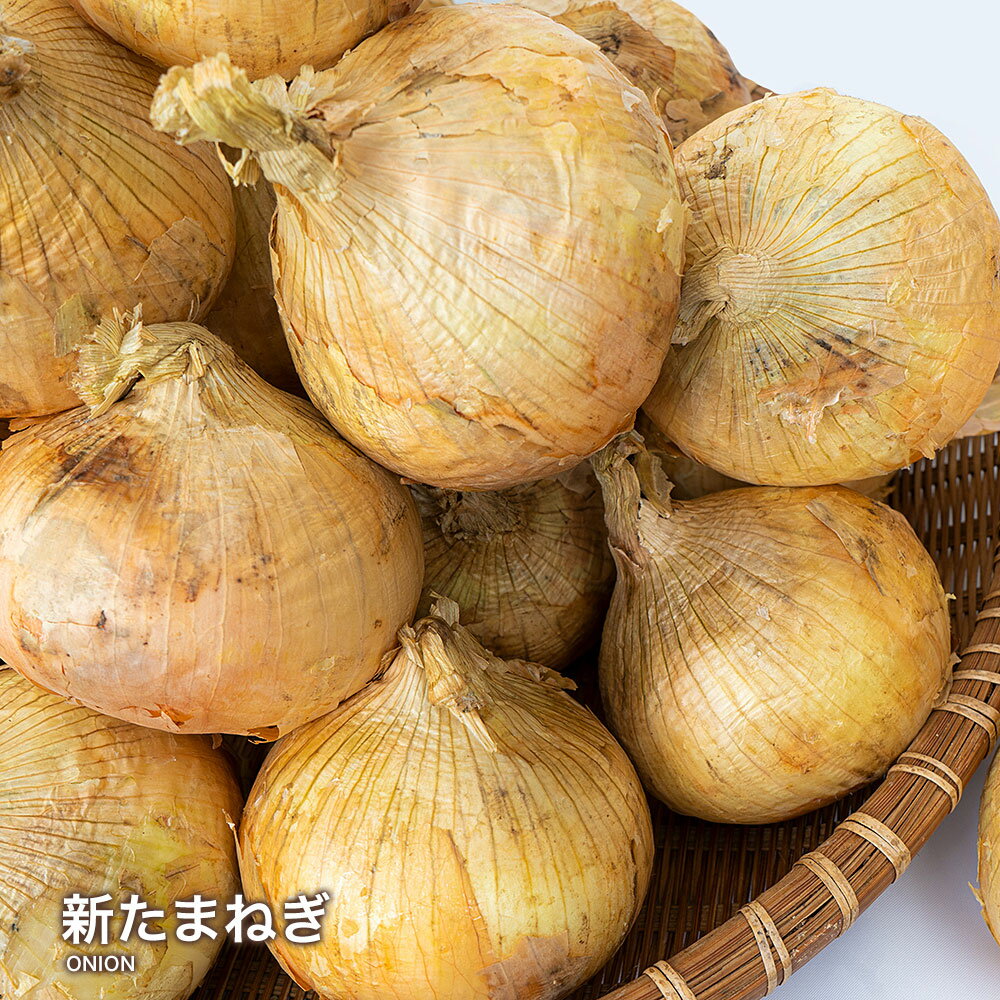 【最大ポイント10倍】【あす楽対応】新たまねぎ ご家庭用 大量 野菜 国産 新玉ねぎ