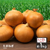 【あす楽対応】たまねぎ 1kg 国産 L〜2L 玉葱 ご家庭用 大量 野菜 玉ねぎ