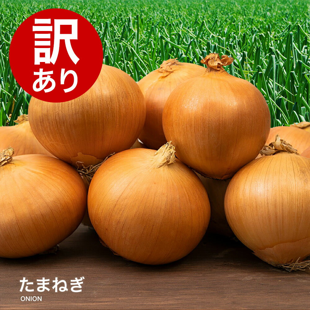 【あす楽対応】訳ありたまねぎ 国産 L～2L 玉葱 ご家庭用 玉ねぎ 野菜 わけあり おトク