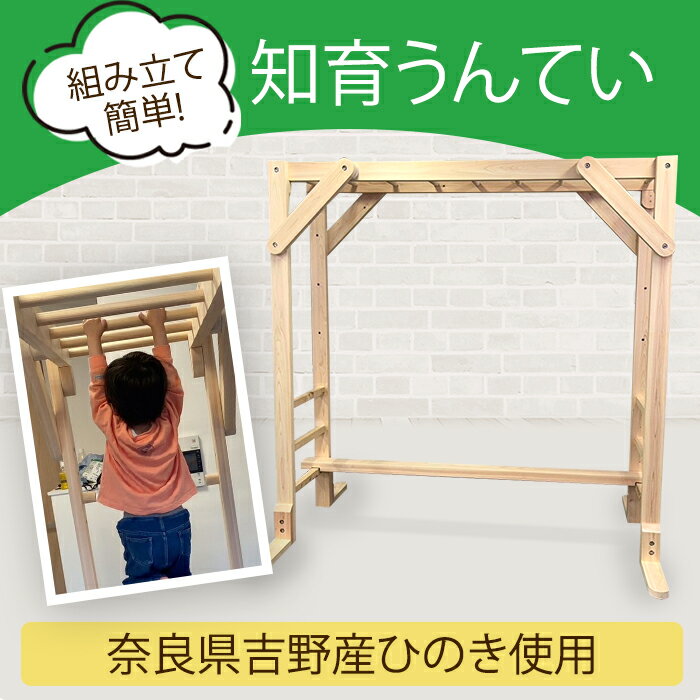 雲梯 室内うんてい 室内 タイプB ボルダリング 鉄棒 - その他 雲梯 室内うんてい 室内 タイプB ボルダリング 鉄棒 - その他