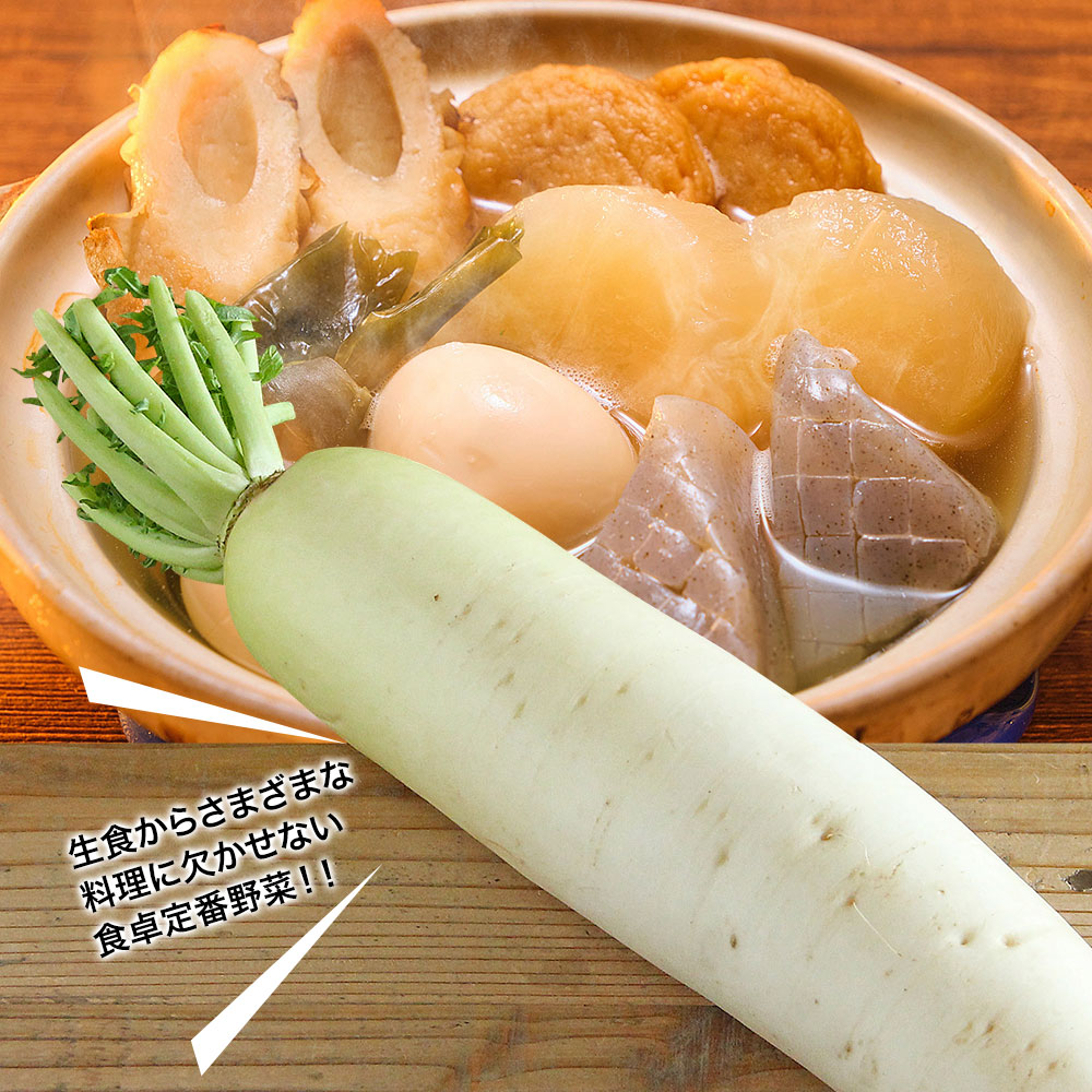 kakabitの大根 送料無料 だいこん 大根おろし サラダ おでん 煮物 豚汁 切干大根 ぶり大根 定番 万能｜アングル2
