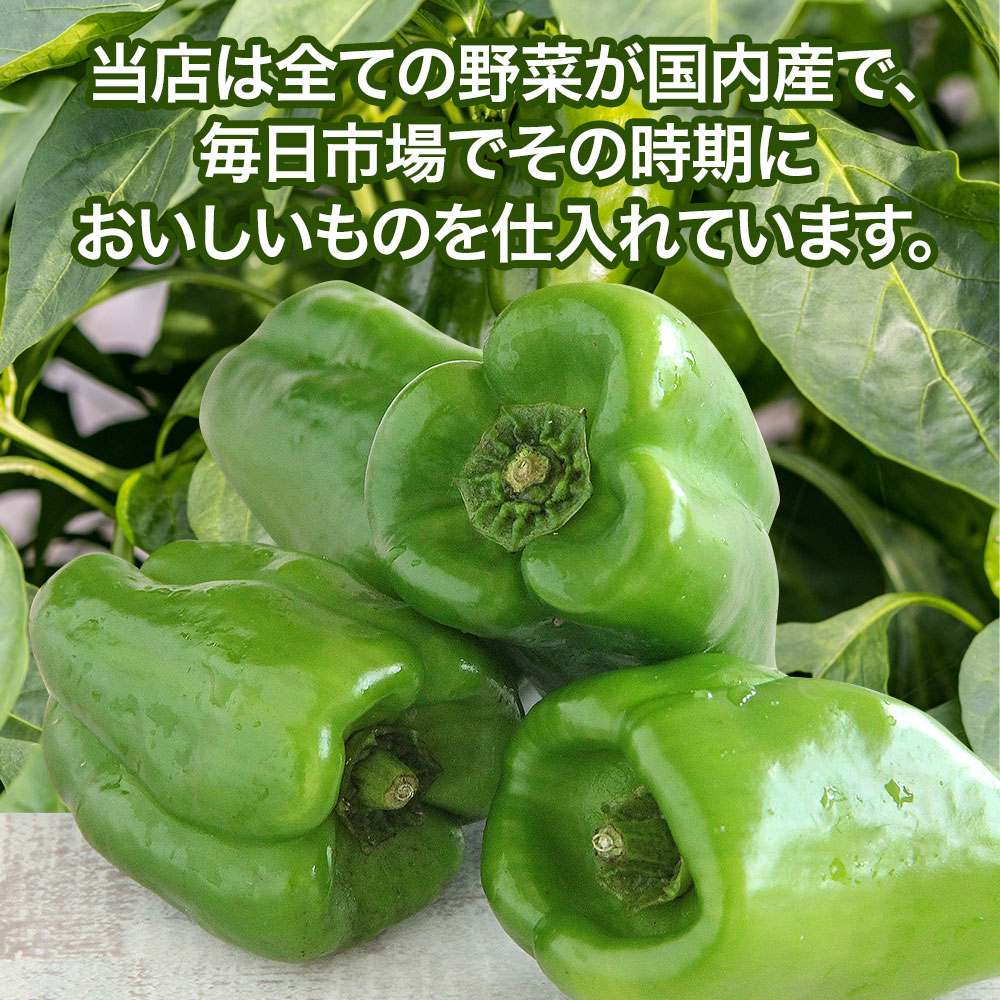 �ڱĶ�������ȯ���ۥԡ��ޥ� ����̵�� ���� ��ǽ ��� �в��� �ԡ��ޤ� �ԡ��ޥ����ͤ� ��ܥ��� ���� ��� ̣���֤� ���Ҥ���