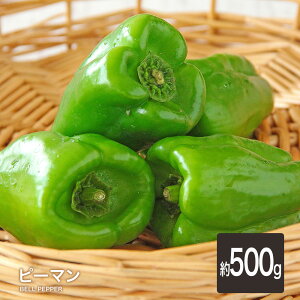 【あす楽対応】ピーマン 500g送料無料 定番 万能 野菜 緑黄色 ぴーまん ピーマン肉詰め 青椒肉絲 酢豚 中華 味噌炒め おひたし