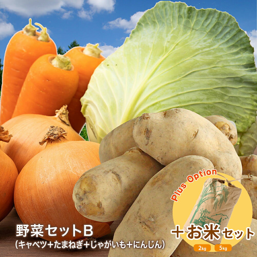 【営業日当日発送】野菜セットB（キャベツ・たまねぎ・じゃがいも・にんじん） 4種セットきゃべつ 玉ね..
