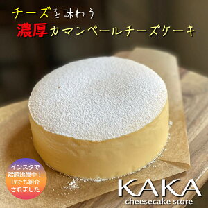 【送料無料】濃厚カマンベールチーズケーキ ホール