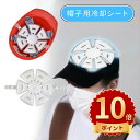 \ポイント10倍/帽子用ひんやりシート ヘッドクール ひんやり帽子 クールパッド アイスパッド 冷却シート ヘッドクーラー クールヘッド 暑さ対策 帽子 保冷剤 頭 冷やす 頭皮 冷却 キャップ クール ひんやり 熱中症対策 冷感 防災 地震 停電