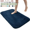 【楽天スーパーセール】バスマット お風呂マット 吸水速乾 滑り止め お洒落 玄関マット 室内 洗面所 リビング 子供部屋 キッチンマット 【送料無料】マイクロファイ