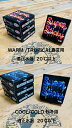 【価格最前線】ssSTICKY BUMPS SURF WAX SUPER STICKY スティッキーバンプス ツアー シリーズサーフワックス サーフィン 滑り止...