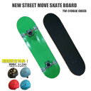 【価格最前線】【送料無料】nsm【ヘルメット プレゼント】 NEW STREET MOVE スケートボード 31