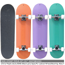 【価格最前線】【送料無料】nsmNEW STREET MOVE コンプリート スケートボード 29インチ/31インチ スケボー SK8 ハードウィール 初級中級...