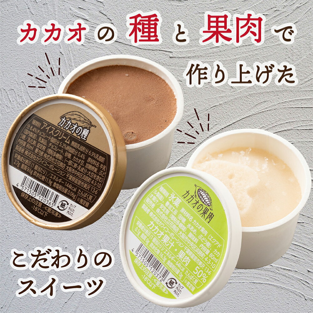プレミアムアイスクリーム (超希少 カカオの果肉/新食感 カカオの種)【内容量と味が選べる】 チョコレートアイス カカオアイス ヘルシースイーツ お返しお菓子 詰め合わせ 送料無料 冷凍便 カカオのONES