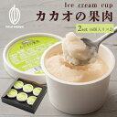 \GW連休SALE/【超希少】【新食感】プレミアムアイスクリーム カカオの果肉アイス 12個セット(80g×12個) ヘルシースイーツ フルーティーな香り さっ...
