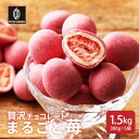 贅沢まるごと苺チョコレート 【5袋】1.5kg(300g×5袋) チョコレート スイーツ いちごまるごと ホワイトチョコ イチゴ いちご ストロベリーチョコ い...