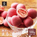 \お買い物マラソンSALE/贅沢まるごと苺チョコレート 【1袋】100...(4)