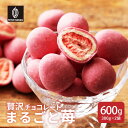贅沢まるごと苺チョコレート 【2袋】600g(300g×2袋) チョコレート スイーツ いちごまるごと ホワイトチョコ イチゴ いちご ストロベリーチョコ いち...