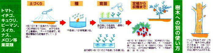 天然植物活力液 HB-101 1Lの紹介画像2