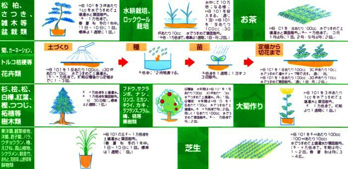 天然植物活力液　HB-101　10L