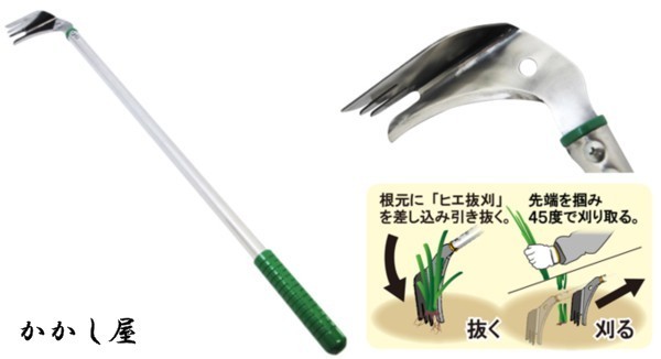 ヒエ抜刈（ひえぬくかる）腰を屈めず楽々除草抜いて刈って1本2役