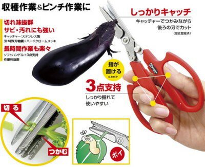 �ڤäƤĤ���륭��å����Ҽ�Ǽ��Ϥ��Ƥ�����ʤ��������ϥϥ���