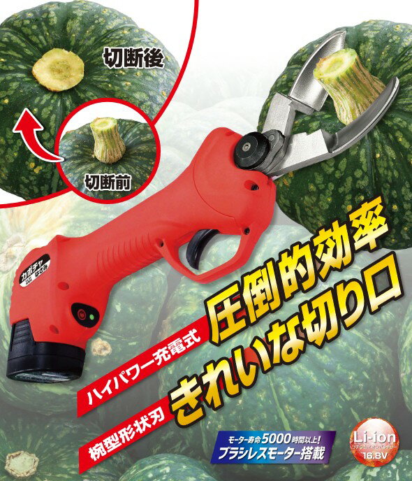 ܥμϡżϤ߰ǥإǡܤ