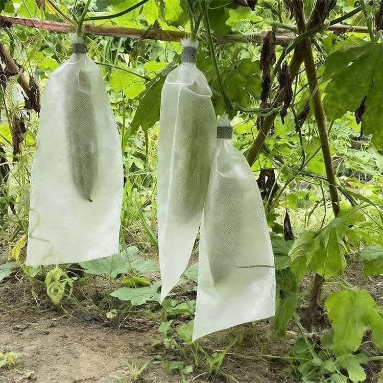 野菜 果実 保護ネット 60枚入り 不織布 家庭菜園 園芸用品 虫除け 鳥除け 通気性 ...