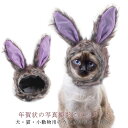 送料無料 ペット用 うさぎ 被り物 かぶりもの 犬用 猫用 帽子 ペット 着ぐるみ 変身 なりきり 兎 マジックテープ 兎年 ウサギさん かわいい 耳付き かぶ...