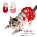 送料無料 ペット服 セーター キャットウェア ドッグウエア 冬 苺 イチゴ いちご 防寒 あたたか ニット かわいい 猫 小型犬 ねこ ネコ 子猫 子犬 仔猫 ...