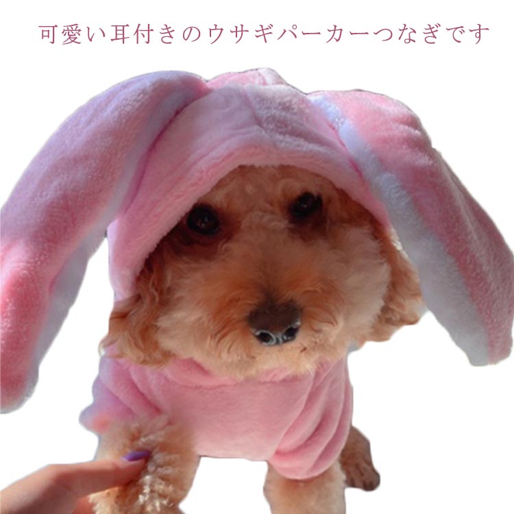 ե꡼   ǭ  ڥå  ѡ     ǯ 󥹥Ǥ ա   餫 Ȥ...
