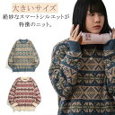 ニット メンズ レディース オーバーサイズ 長袖ニット ケーブルニット クルーネック セーター ビッグシルエット 秋 長袖 柄 派手 肉厚 大きいサイズ ゆったり 韓国ファッション 冬服 秋 秋服 秋物 秋冬 メンズファッション おしゃれ 無地 送料無料(4)