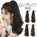 ウィッグ ポニーテール ポニーテール クリップ レディース 部分 つけ毛 普段 自然 ロング 黒 茶色 柔らかい 巻き髪 ウェーブ パーマ 簡単 バンス ワンタ...