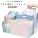 2個セット ドキュメントファイル 書類ケース 13ポケット ファイル ジャバラ A4 収納 ファイルボックス ファイル収納 書類 ドキュメントスタンド おしゃれ...
