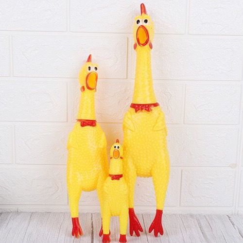 Ѥ 3å Ĥ  淿 㡼ߥ󥰥ڥå ʤ뤪 ƥå  ȥ쥹