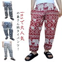 タイパンツ レディース メンズ 男女兼用 アジアン ゾウ ぞう タイパンツ 大きいサイズ 裾ゴム ポケット付き イージーパンツ ルームウェア 部屋着 ボトムス ラジンパンツ 長ズボン 涼感 涼しい 送料無料 夏パンツ