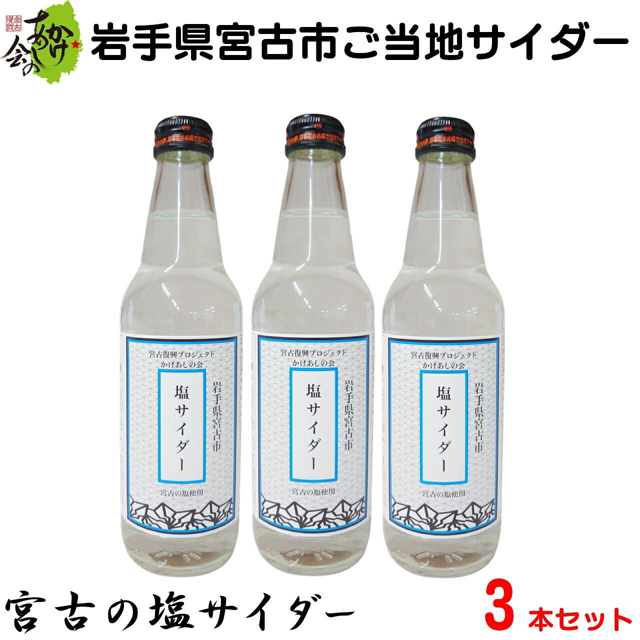 岩手県宮古市 ご当地サイダー 宮古の塩サイダー 3本セット 340ml×3本 地サイダー