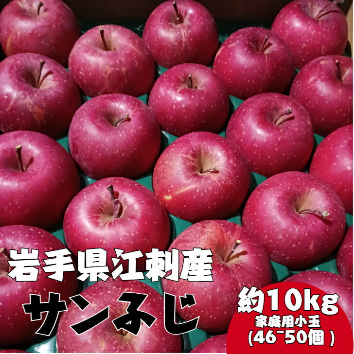 江刺産 りんご サンふじ 約10kg 小玉 46個 家庭用 11月20日〜12月26日お届け 菅野農園 産地直送 岩手県 奥州市 送料無料