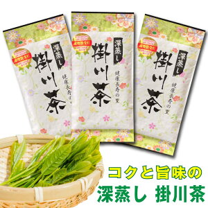 掛川茶 80g×3本セット お茶 日本茶 3本セット 送料無料 【期間限定】 掛川 深蒸し茶 茶葉 深むし茶 日本茶 お茶 茶 送料無料 深蒸し茶 掛川茶 静岡茶 煎茶 緑茶 深むし茶 ギフト 仏用 志 福袋 茶葉 急須用 カテキン