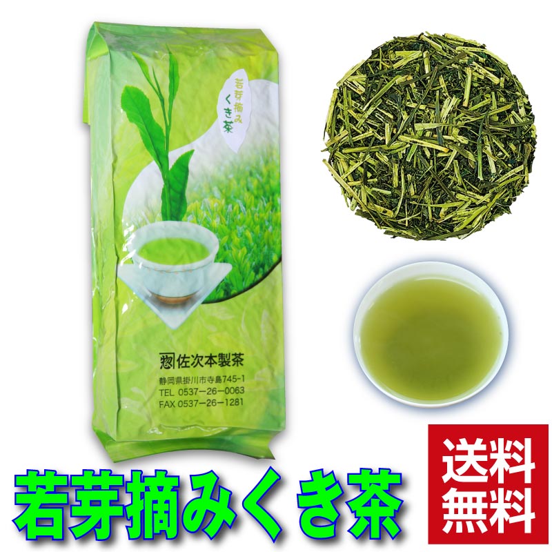 若芽摘み くき茶 500g大袋入 送料無料 卸価格商品 深蒸し茶 掛川 深蒸し茶 茶葉 深むし茶 日本茶 お茶 茶 深蒸し茶 …