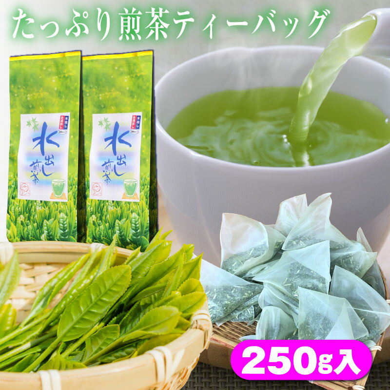 たっぷり煎茶 ティーバッグ 5g×25個×2袋 計250g 静岡抹茶入り 水出し煎茶 1リットル用 ティーパック 水出し緑茶 深蒸し茶 日本茶 掛川茶 茶葉 静岡茶 煎茶 お茶 深むし茶 緑茶 冷茶 水出しお湯出し両用タイプ 掛川茶 紙パック 送料無料