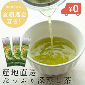 たっぷり 深蒸し茶 掛川茶 200g×3本セット 新茶 日本茶 お茶 卸価格商品 茶葉 静岡茶 煎茶 お茶 深むし茶 緑茶 お茶