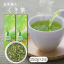 若芽摘み くき茶 250g×2袋入(計500g) 卸価格商品 掛川産 G-250×2 産地賞受賞 掛川産 棒茶 深蒸し 静岡県 お茶 送料無料 訳あり 大袋 SS