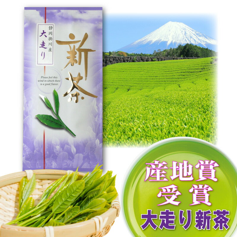 新茶 大走り 深蒸し茶 深むし茶100g入り 日本茶 緑茶 お茶 掛川茶 お茶 深蒸し茶 緑茶 送料無料 静岡茶 煎茶 緑茶 深…