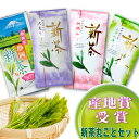 日本茶 お茶『新茶まるごとセット』 『大走り』100g+ 『...