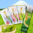 日本茶4点セット お茶 M-4 深蒸し茶まんぷくセット 大走り100g+初摘み100g+八十八夜100g+たっぷり深蒸し茶200g 4本セット 新茶 合計500g 卸価格 new