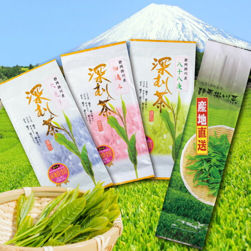 【掛川茶／深蒸し茶（緑茶）】【お徳な商品】【メール便対応】人気の...