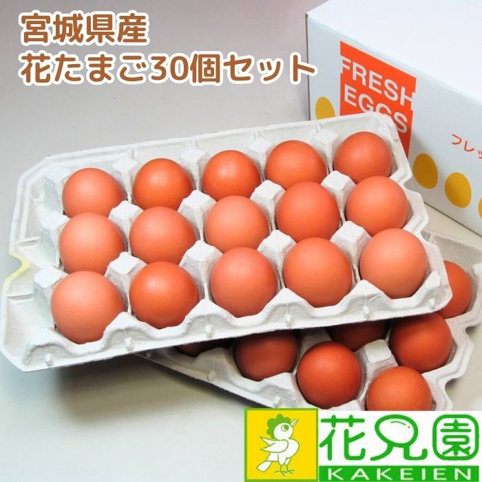 【送料無料】花たまご (30個) 卵 玉子 タマゴ たまご 鶏卵 赤殻 赤がら 新鮮 産みたて 産直 産地直送 生卵 濃厚 採れたて 生みたて 卵かけごはん 卵かけご飯 卵焼き 玉子焼き 養鶏場直送 宮城県産